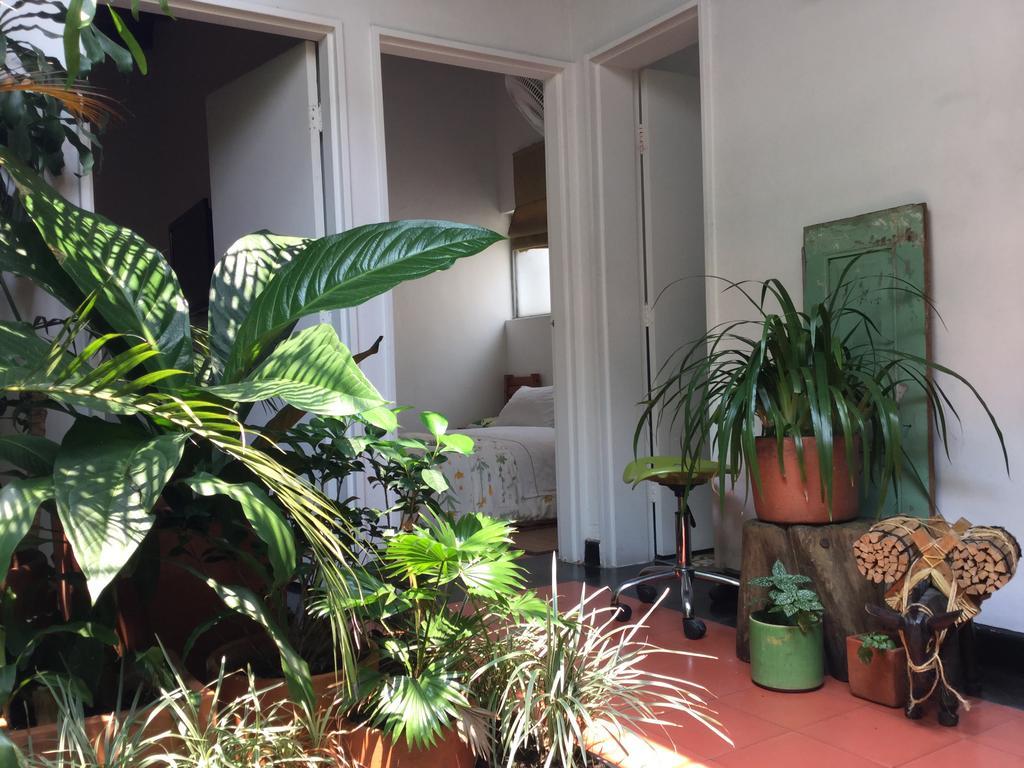 Saman Hostel Medellin Exterior photo