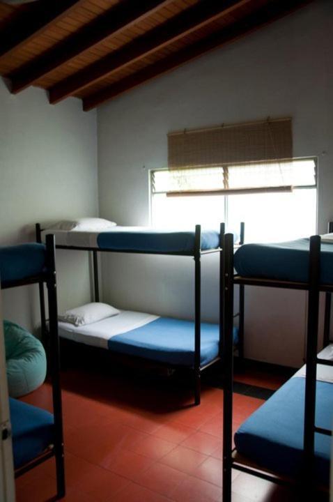 Saman Hostel Medellin Exterior photo